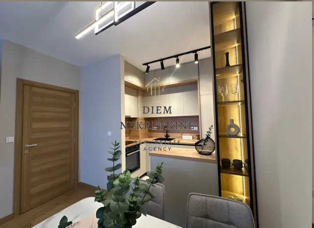 Rent, one bedroom apartment, 46m², Centar, Podgorica