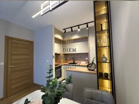 Izdavanje, jednosoban stan, 46m², Centar, Podgorica - image 13