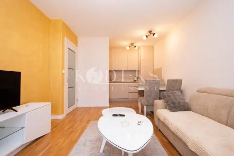 Izdavanje, jednosoban stan, 41m², Zabjelo, Podgorica - image 2