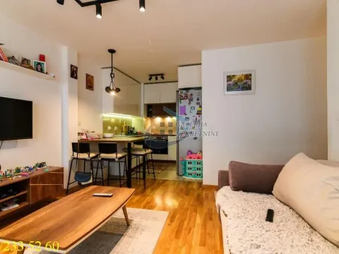 Sale, two bedroom apartment, 44m², Višnjička Banja, Palilula Sve Podlokacije - image 4