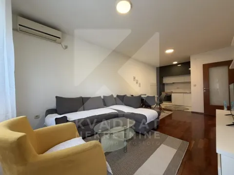 Rent, one bedroom apartment, 43m², Stari Aerodrom, Podgorica - image 3