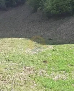 Sale, land lot, 6600m², Kolašin, Crna Gora - image 3