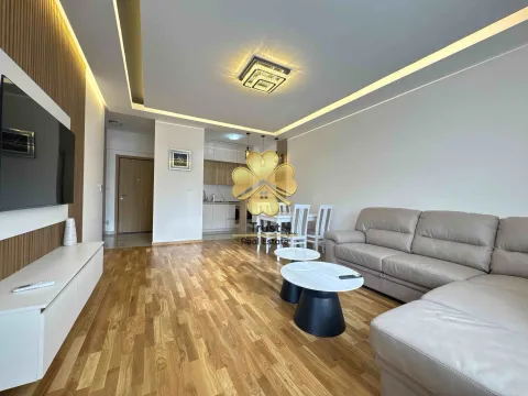 Izdavanje, jednosoban stan, 50m², Zagorič, Podgorica - image 4