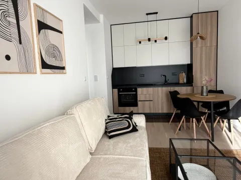 Izdavanje, jednosoban stan, 37m², Tološi, Podgorica - image 4