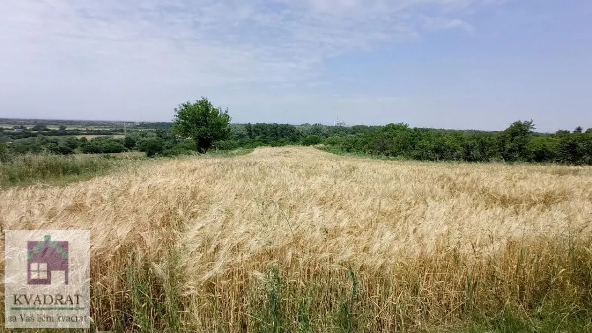 Prodaja, plac, 1900m², Mislodjin, Obrenovac