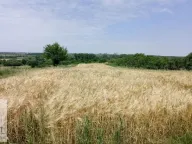 Prodaja, plac, 19m², Mislodjin, Obrenovac - image 5