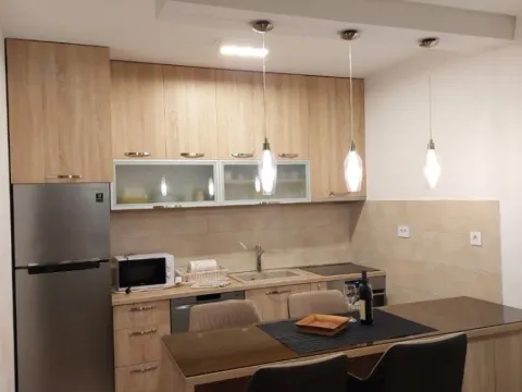 Izdavanje, jednosoban stan, 50m², Pobrežje, Podgorica - image 3