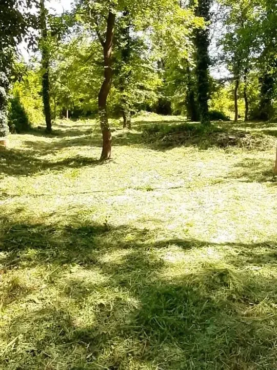 Prodaja, plac, 790m², Kotor, Crna Gora