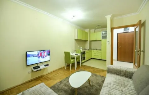 Izdavanje, jednosoban stan, 40m², Stari Aerodrom, Podgorica - image 8