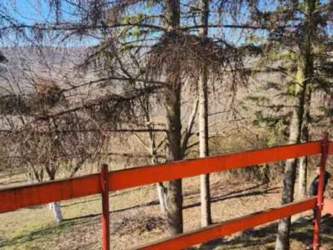 Sale, house, 72m², Fruška Gora, Novi Sad - image 11