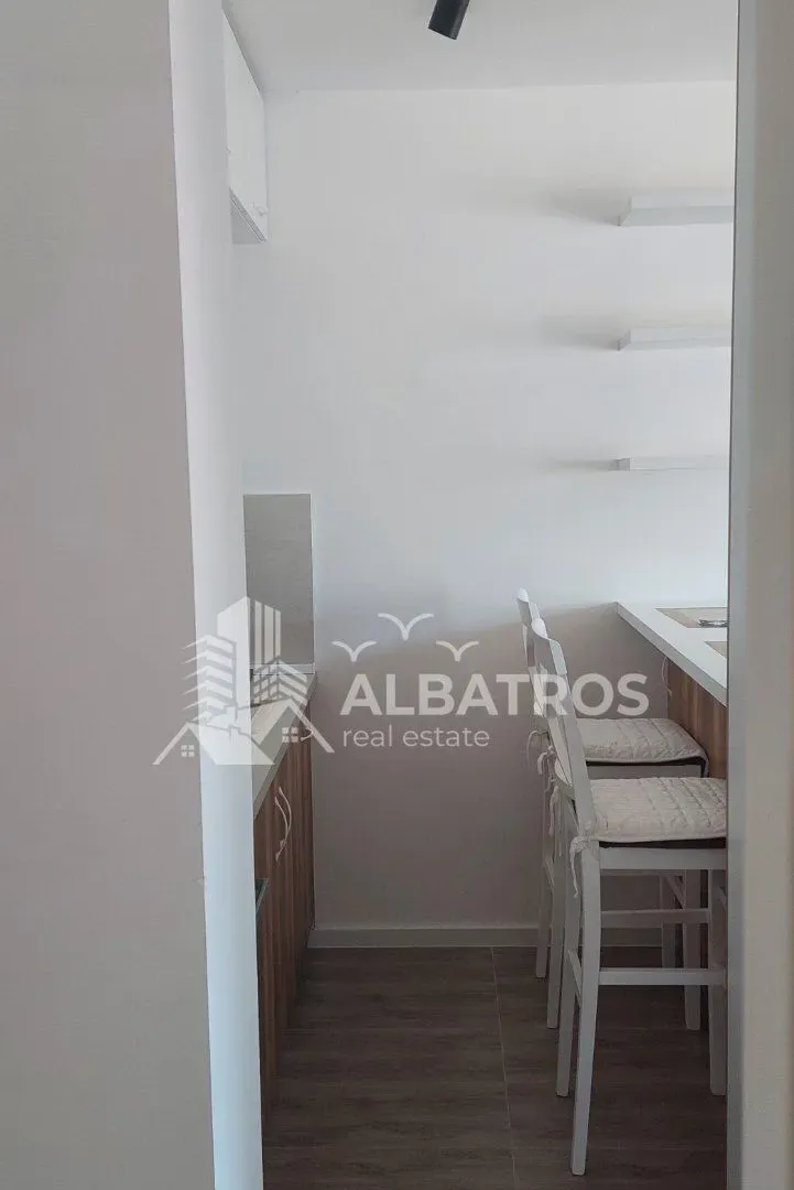 Rent, one bedroom apartment, 26m², Ilino, Bar