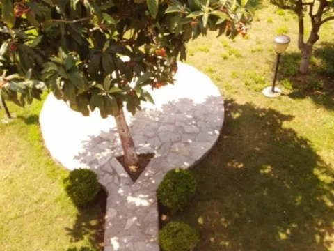 Izdavanje, poslovni prostor, 250m², Donja Gorica, Podgorica - image 6