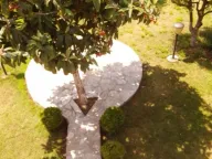 Rent, office space, 250m², Donja Gorica, Podgorica - image 6