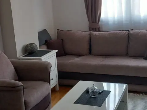 Rent, one bedroom apartment, 42m², Zabjelo, Podgorica - image 1