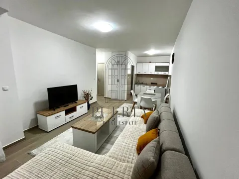 Izdavanje, jednosoban stan, 43m², Preko Morače, Podgorica - image 2