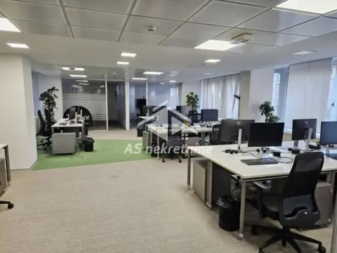 Izdavanje, poslovni prostor, 300m², Stari Grad, Beograd - image 4