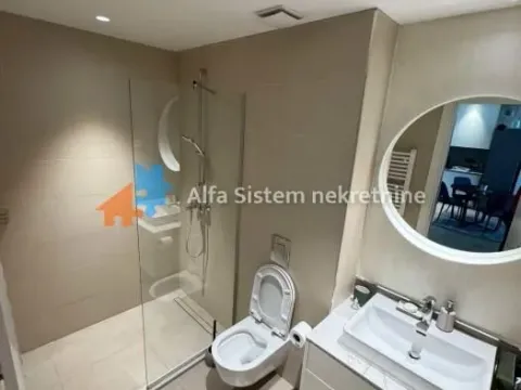 Izdavanje, dvosoban stan, 52m², Savski Venac, Beograd - image 14