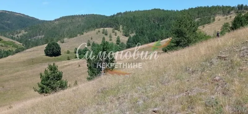 Prodaja, plac, 212100m², Divčibare, Valjevo