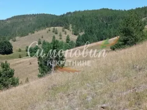 Sale, land lot, 212100m², Divčibare, Valjevo - image 13