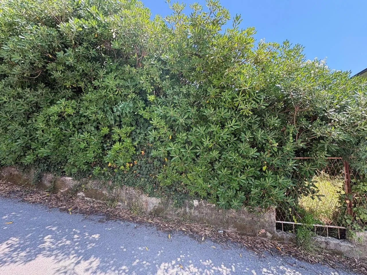 Prodaja, plac, 410m², Donja Lastva, Tivat