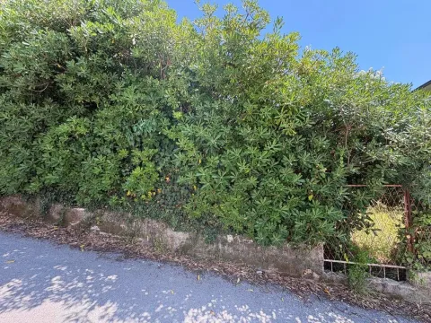 Prodaja, plac, 410m², Donja Lastva, Tivat - image 2