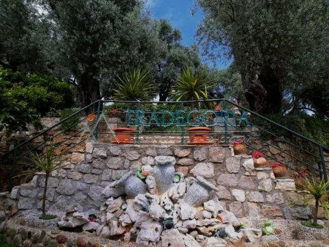 Prodaja, ugostiteljski objekat, 435m², Bečići, Budva - image 28