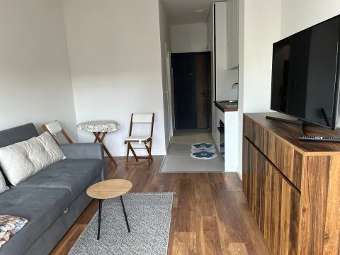 Sale, studio apartment, 26m², Ulcinjsko Polje, Ulcinj - image 2