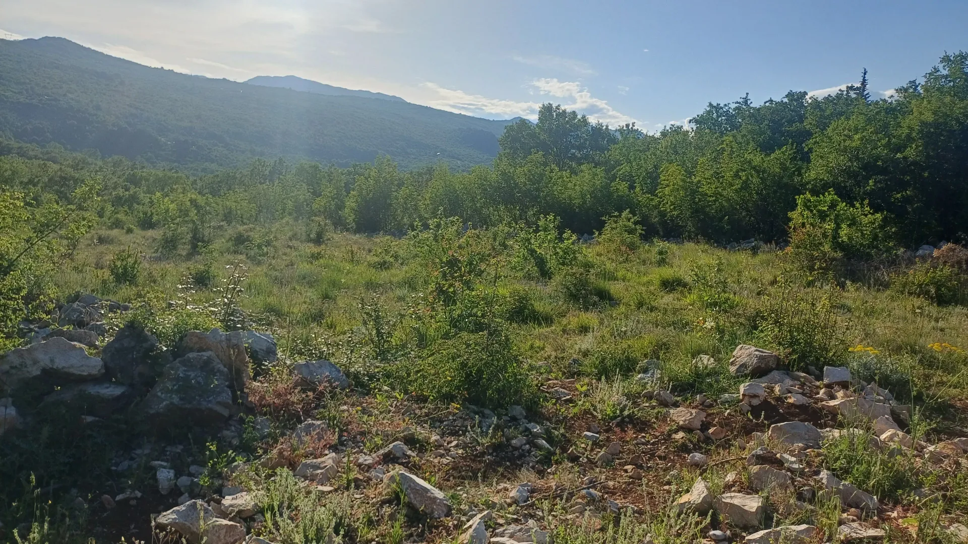 Prodaja, plac, 500m², Komani, Podgorica