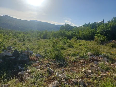 Prodaja, plac, 500m², Komani, Podgorica - image 4