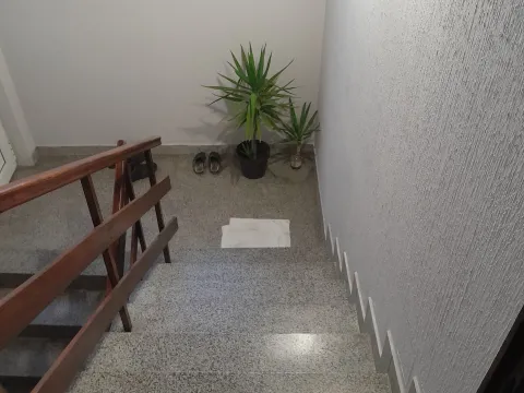 Sale, house, 214m², Veternik, Novi Sad Sve Podlokacije - image 5