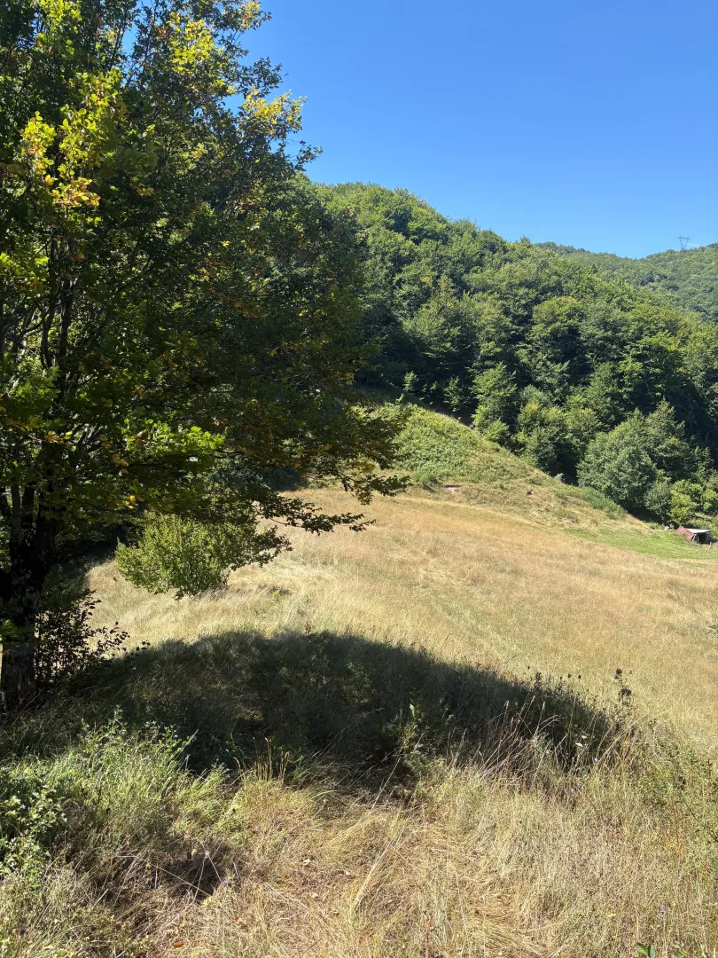 Prodaja, plac, 1350m², Moračko Trebaljevo, Kolašin