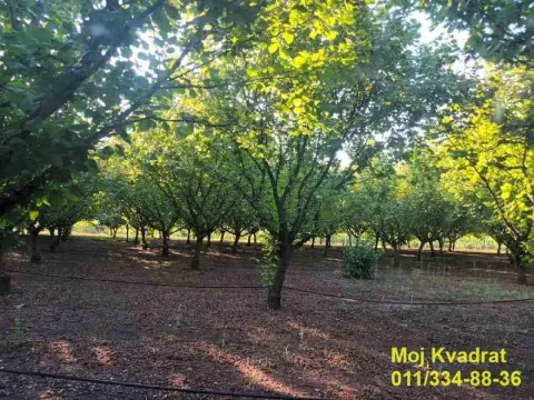 Prodaja, plac, 114m², Nova Pazova, Stara Pazova - image 2