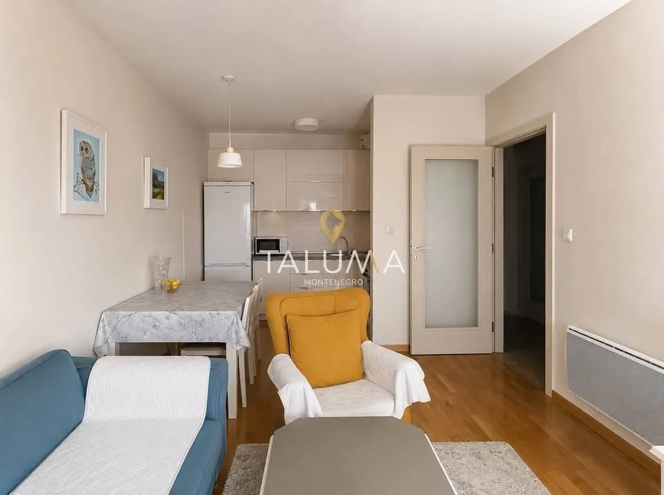 Rent, one bedroom apartment, 40m², Zabjelo, Podgorica