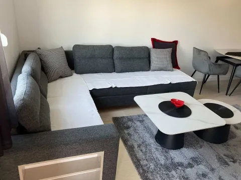 Izdavanje, jednosoban stan, 43m², Zabjelo, Podgorica - image 1