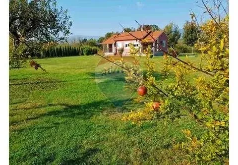 Rent, house, 100m², Danilovgrad, Crna Gora - image 16