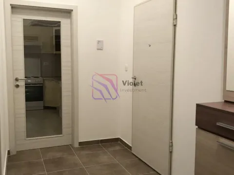 Rent, two bedroom apartment, 71m², Ljubović, Podgorica - image 8
