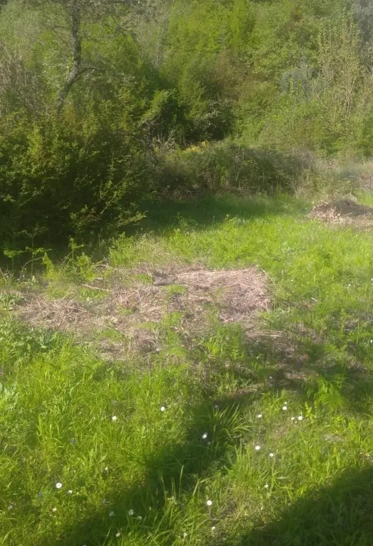 Prodaja, plac, 518m², Budva, Crna Gora