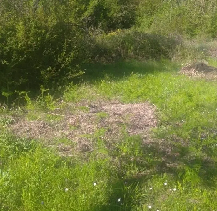 Sale, land lot, 518m², Budva, Crna Gora