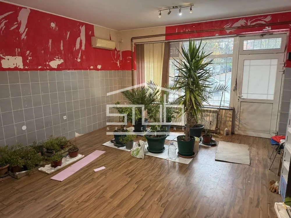 Izdavanje, poslovni prostor, 120m², Kneževac, Beograd