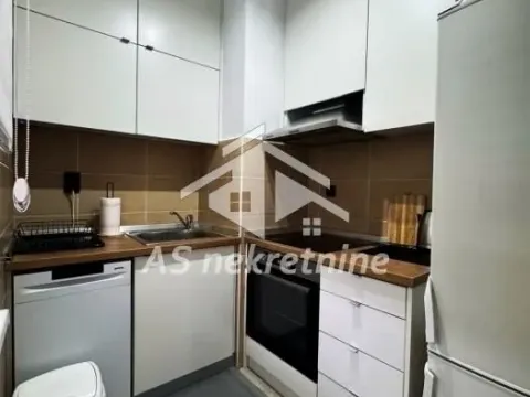 Izdavanje, stan, 40m², Šumice, Beograd - image 12