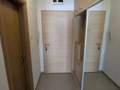 Izdavanje, garsonjera, 30m², Tuški Put, Podgorica - image 3
