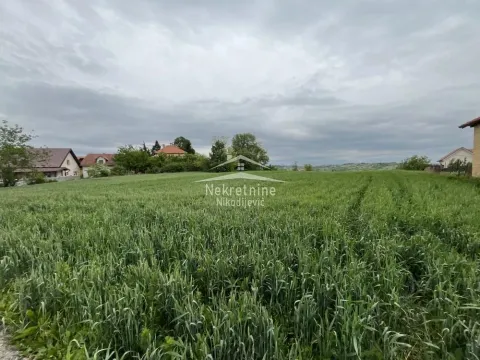 Prodaja, plac, 1600m², Čukarica, Beograd - image 6