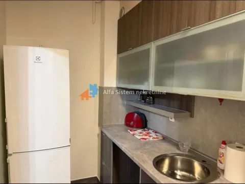 Izdavanje, stan, 170m², Savski Venac, Beograd - image 6