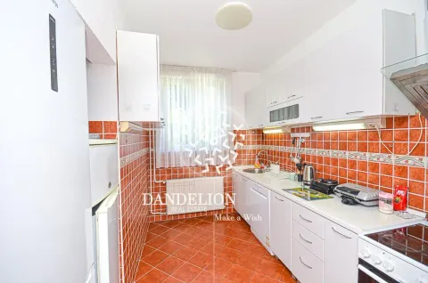 Rent, one bedroom apartment, 59m², Central Point, Podgorica - image 1105