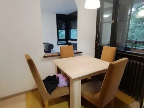 Rent, one bedroom apartment, 54m², Višnjička Banja, Palilula Sve Podlokacije - image 4