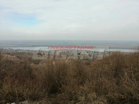 Sale, land lot, 4400m², Stari Slankamen, Inđija