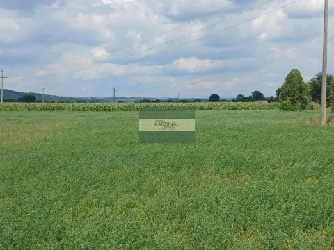 Prodaja, plac, 7500m², Novo Lanište, Jagodina - image 10