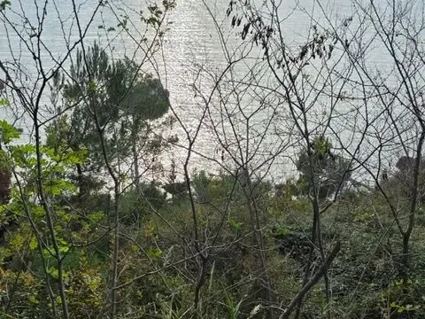 Prodaja, plac, 804m², Ratac, Bar - image 3