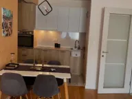 Izdavanje, jednosoban stan, 50m², Central Point, Podgorica - image 4