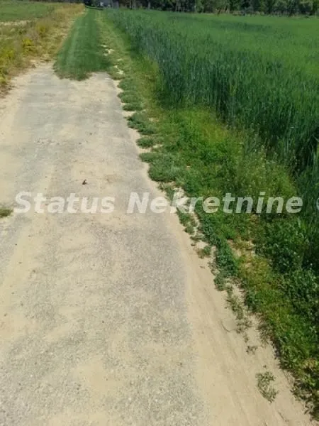 Prodaja, plac, 5800m², Irig, Srbija